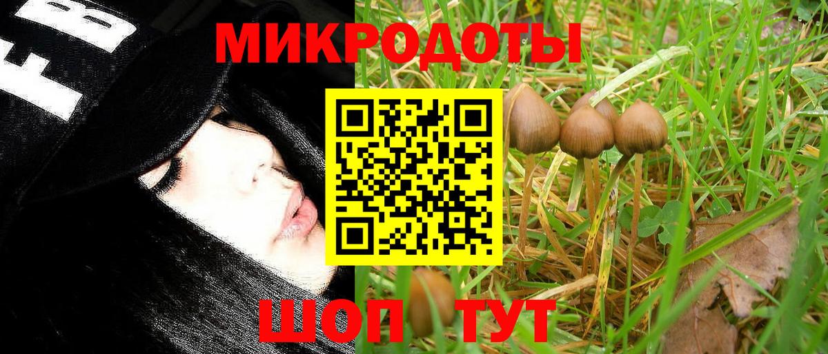 Псилоцибиновые грибы мухоморы  Галлюциногенные грибы мицелий  Вход с VPN  Елец 
